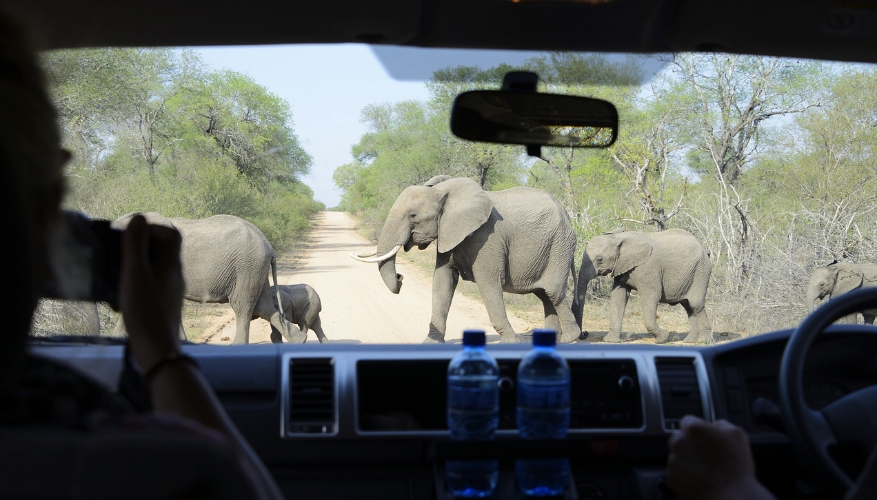 Kruger National Park, South Africa